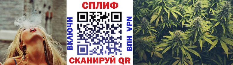 Конопля Amnesia Дрезна